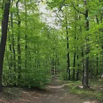 Schlossblick I - Zeit Zum Entspannen In Exklusiver Mit Panoramablick, Parkplatz, Wlan, Smart-tv *