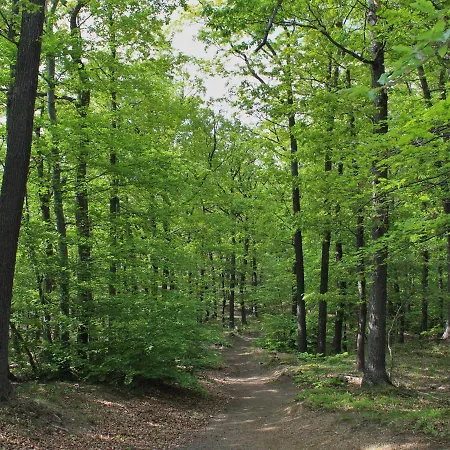 Schlossblick I - Entspannung In Exklusiver Mit Panoramablick, Parkplatz, Wlan, Smart-tv *
