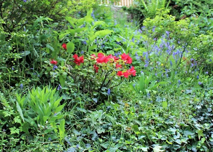 Schlossblick I - Zeit Zum Entspannen In Exklusiver Mit Panoramablick, Parkplatz, Wlan, Smart-tv