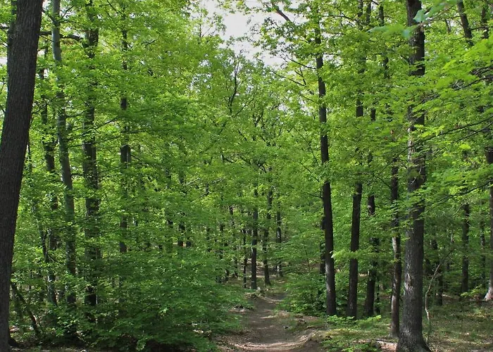 Schlossblick I - Zeit Zum Entspannen In Exklusiver Mit Panoramablick, Parkplatz, Wlan, Smart-tv *
